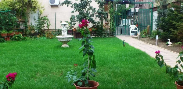 Casă 12 camere București - poza 7