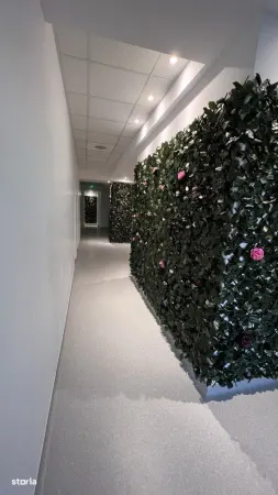 Spațiu comercial București - poza 6