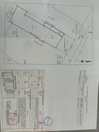 Spațiu comercial București - poza 2