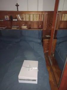 Ag BRASADAS închiriază ap 2 cam etaj 2 Cismigiu. - Bucuresti