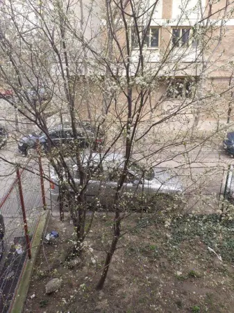 Apartament 9 camere București - poza 7