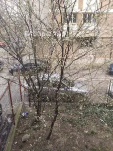 Apartament 9 camere București - poza 7