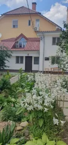 Casă 3 camere București - poza 2