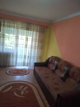 Apartament 2 camere Satu Mare - poza 1