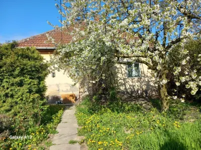 Casă 4 camere Ambud - poza 4