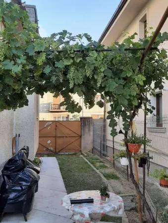 Casă 4 camere Satu Mare - poza 5