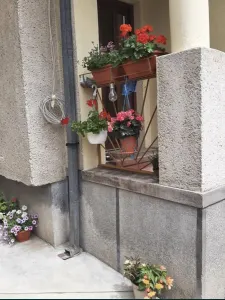 Casă 4 camere Satu Mare - poza 6