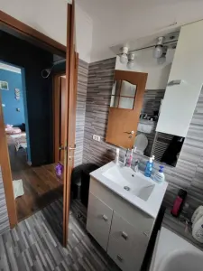 Apartament 4 camere Satu Mare - poza 5
