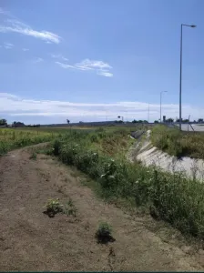 Teren Satu Mare - poza 4