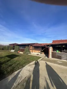 Casă 4 camere Satu Mare - poza 4