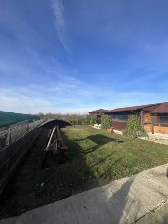 Casă 4 camere Satu Mare - poza 6