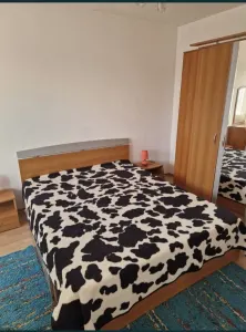 Apartament 2 camere Constanța - poza 4