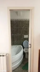 Apartament 2 camere Satu Mare - poza 4