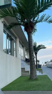 Apartament 2 camere Mamaia - poza 8