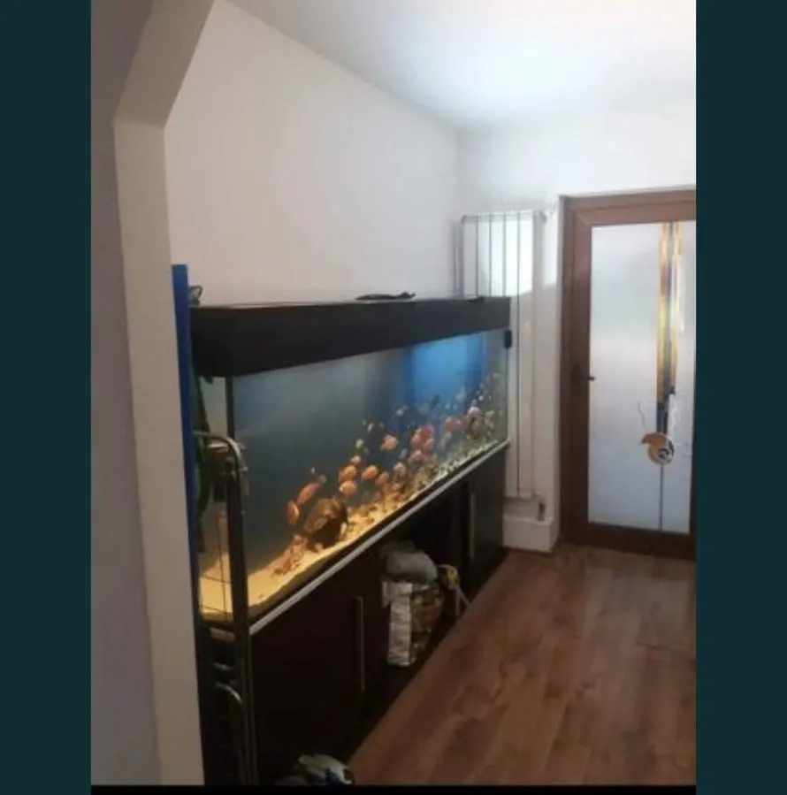 Apartament 3 camere Constanța - poza 1