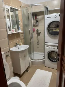 Apartament 4 camere Satu Mare - poza 9