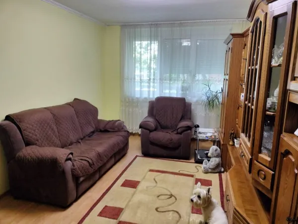 Apartament 3 camere Satu Mare - poza 1