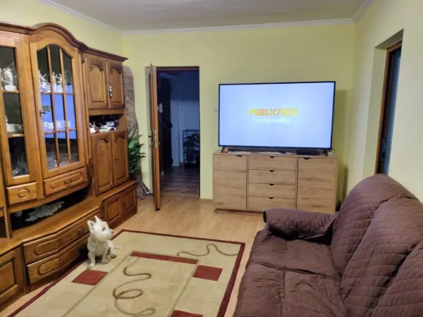 Apartament 3 camere Satu Mare - poza 2
