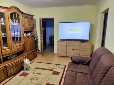Apartament 3 camere Satu Mare - poza 2