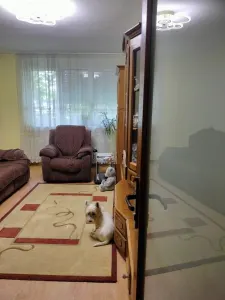 Apartament 3 camere Satu Mare - poza 14