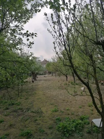 Casă 6 camere Satu Mare - poza 4