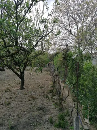 Casă 6 camere Satu Mare - poza 5