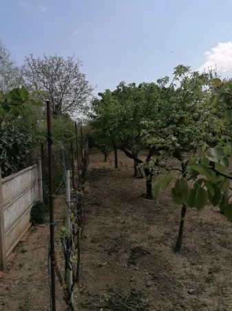 Casă 6 camere Satu Mare - poza 6