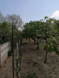 Casă 6 camere Satu Mare - poza 6