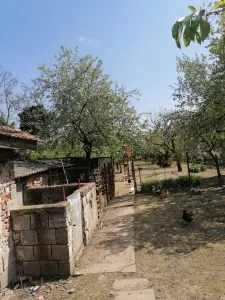 Casă 6 camere Satu Mare - poza 7