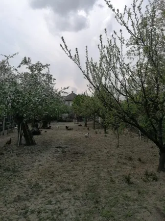 Casă 6 camere Satu Mare - poza 9