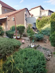 Casă 3 camere Satu Mare - poza 2