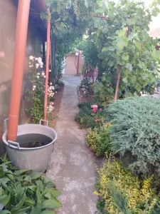 Casă 3 camere Satu Mare - poza 11
