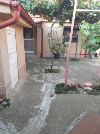 Casă 3 camere Satu Mare - poza 5