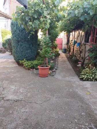 Casă 3 camere Satu Mare - poza 6