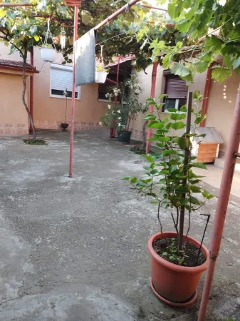 Casă 3 camere Satu Mare - poza 7