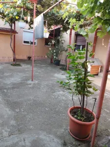 Casă 3 camere Satu Mare - poza 7