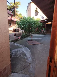 Casă 3 camere Satu Mare - poza 10