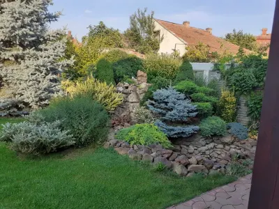 Casă 6 camere Satu Mare - poza 9
