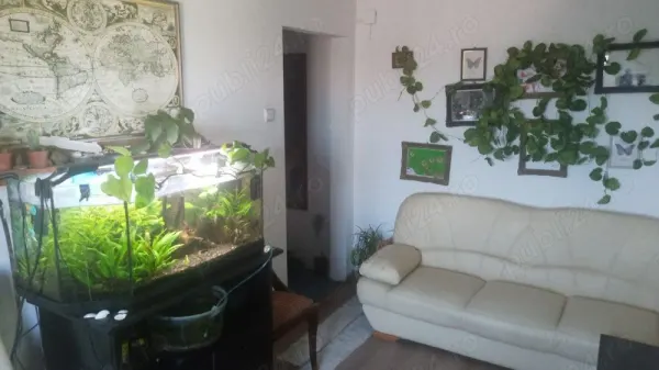 Apartament 2 camere Satu Mare - poza 2