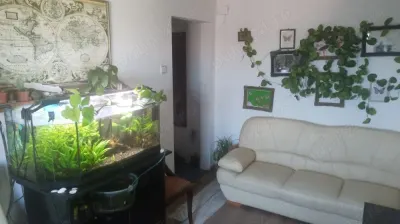 Apartament 2 camere Satu Mare - poza 2