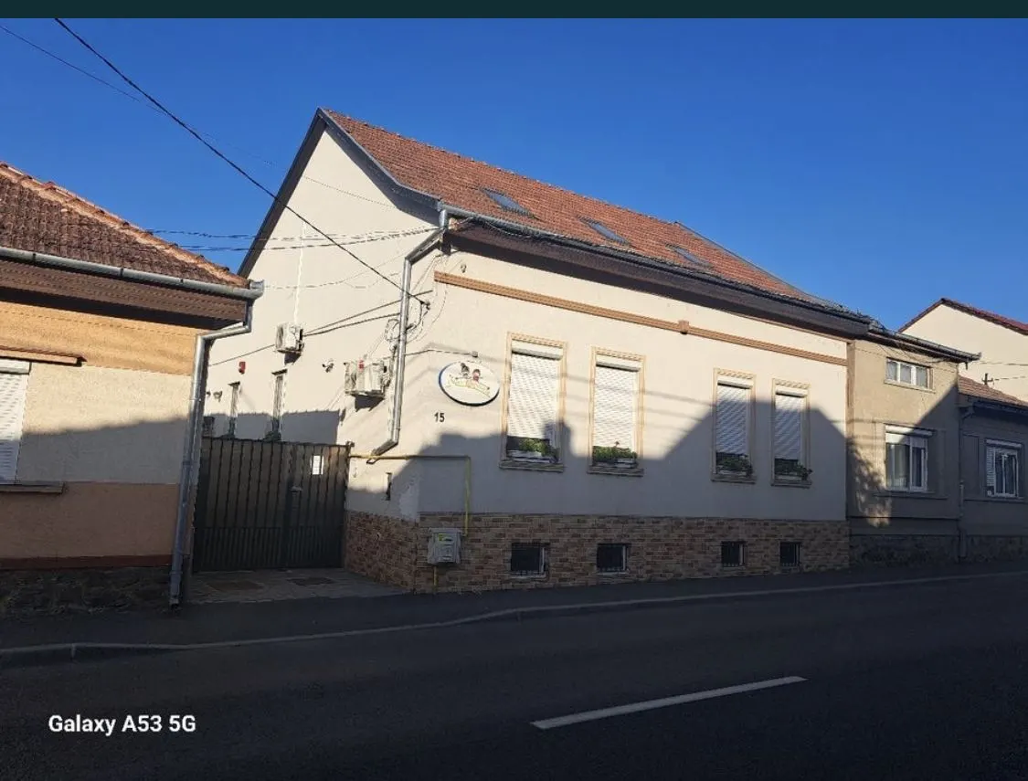 Casă 4 camere Satu Mare - poza 1