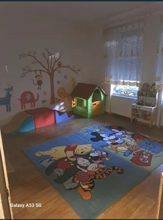 Casă 4 camere Satu Mare - poza 3