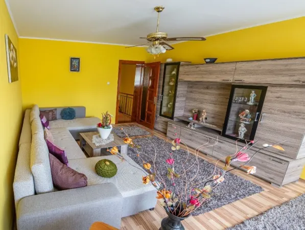 Casă 5 camere Satu Mare - poza 2