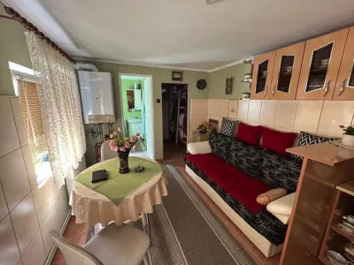 Casă 5 camere Satu Mare - poza 11