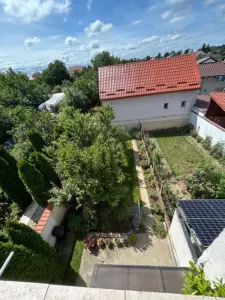Casă 5 camere Satu Mare - poza 13