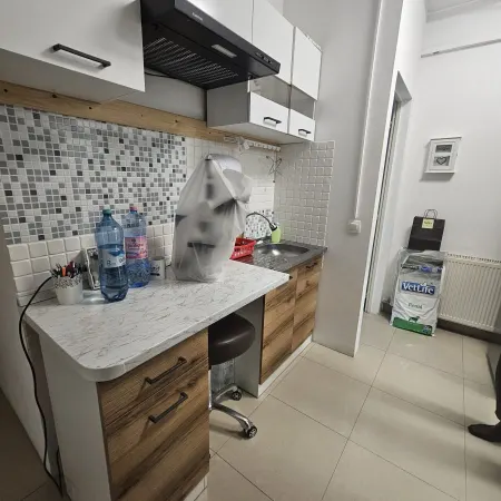 Spațiu comercial București - poza 8