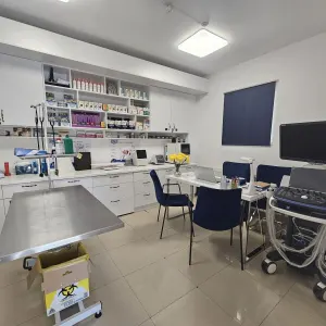Spațiu comercial București - poza 10