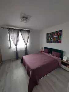 Apartament 2 camere Bragadiru - poza 3