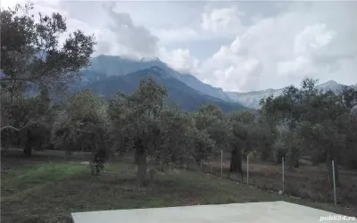 Casă București - poza 2