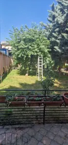 Casă București - poza 4